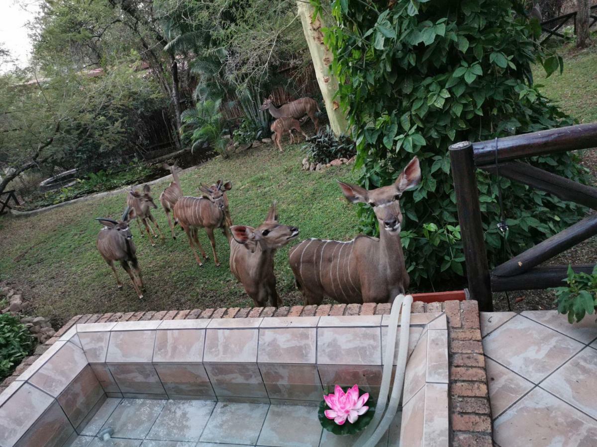 Homebase Kruger マールロス・パーク エクステリア 写真